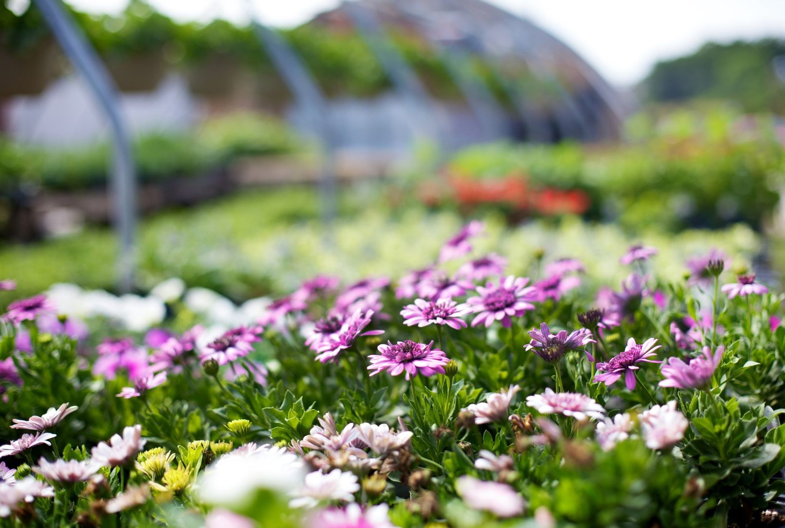 Lezecké centrum Poprad